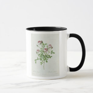 Mug Rosa Pomponia, des 'roses de Les