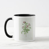 Mug Rosa Pomponia, des 'roses de Les (Gauche)