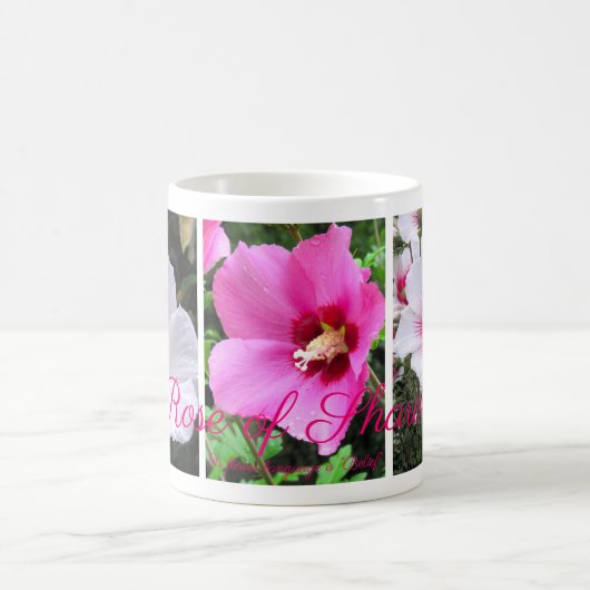 Mug Rose of Sharon [Classic Mug] (Centre)
