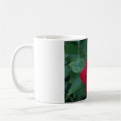 Mug Rose rouge de près (Gauche)