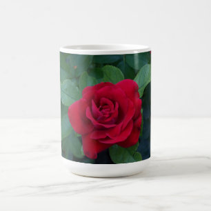 Mug Rose rouge proche