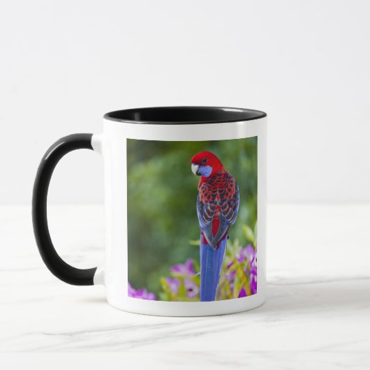 Mug Rosella cramoisi et contexte des orchidées (Gauche)