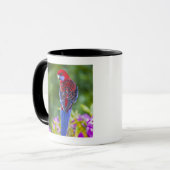 Mug Rosella cramoisi et contexte des orchidées (Devant gauche)