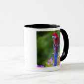 Mug Rosella cramoisi et contexte des orchidées (Devant droit)