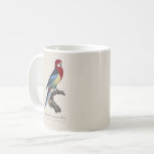 Mug Rosella orientale ou Perruche à tête pâle (Devant gauche)