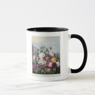Mug Roses, 'du temple de Flora