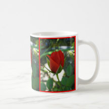 Roses ROUGES