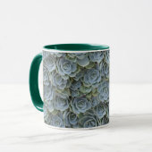 MUG ROSETTES DE PLANTE SUCCULENTE GRIS VERT (Devant gauche)