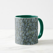 MUG ROSETTES DE PLANTE SUCCULENTE GRIS VERT (Devant droit)