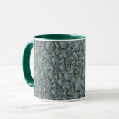 MUG ROSETTES DE PLANTE SUCCULENTE GRIS VERT (Devant gauche)