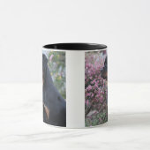 Mug Rottweiler (Centre)