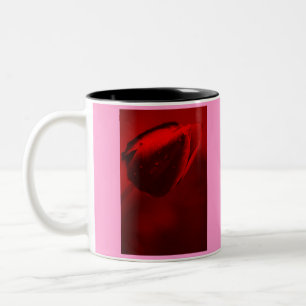 Mug rougeole