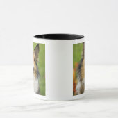 Mug Rough Collie, chien (Centre)