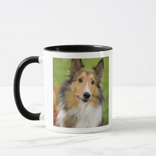 Mug Rough Collie, chien (Gauche)