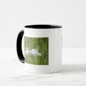 Mug Roulement de lion dans l'herbe grande, Afrique (Devant gauche)