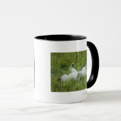 Mug Roulement de lion dans l'herbe grande, Afrique (Devant droit)