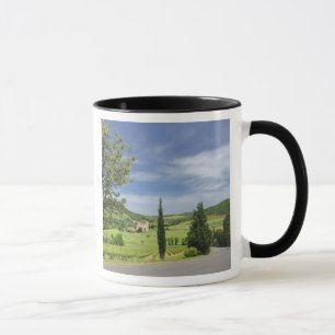 Mug Route de campagne sinueuse entre des cyprès en