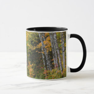 Mug Route de gravier jonchée de feuilles avec couleurs