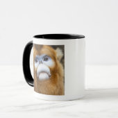 Mug Roxellana d'or masculin de Pygathrix de singe (Devant gauche)