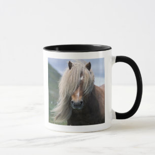 Mug Royaume-Uni, Écosse, îles Shetland, poney Shetland