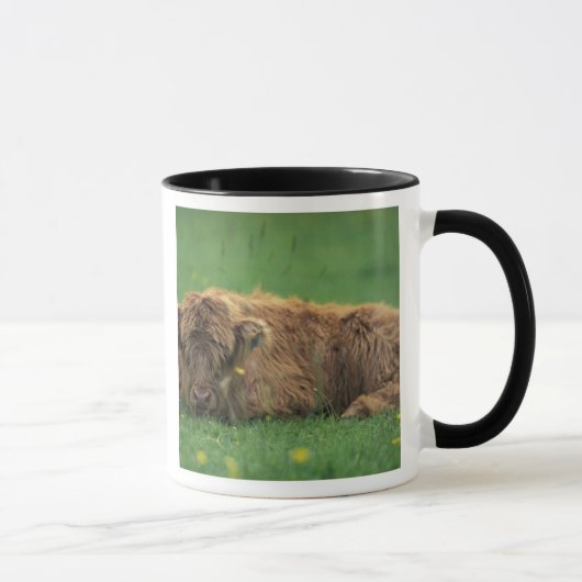 Mug Royaume-Uni, Écosse. Veau des Highlands (Droite)