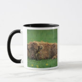 Mug Royaume-Uni, Écosse. Veau des Highlands (Gauche)