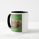 Mug Royaume-Uni, Écosse. Veau des Highlands (Devant gauche)