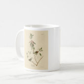 Mug Ruby couronné Wren (Kinglet) Audubon Birds Amériqu (Devant gauche)