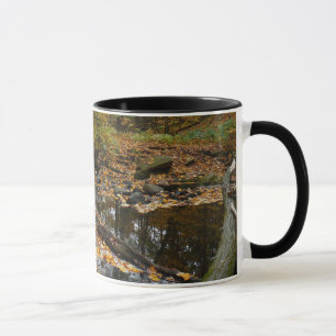 Mug Ruisseau de Fall avec reflet au parc Laurel Hill