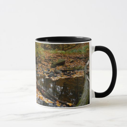 Mug Ruisseau de Fall avec reflet au parc Laurel Hill (Droite)