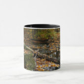 Mug Ruisseau de Fall avec reflet au parc Laurel Hill (Centre)