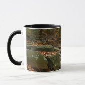 Mug Ruisseau de Fall avec reflet au parc Laurel Hill (Gauche)