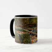 Mug Ruisseau de Fall avec reflet au parc Laurel Hill (Devant gauche)
