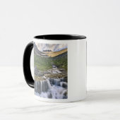 Mug ruisseau en cascade, parc national des Glaciers, (Devant gauche)