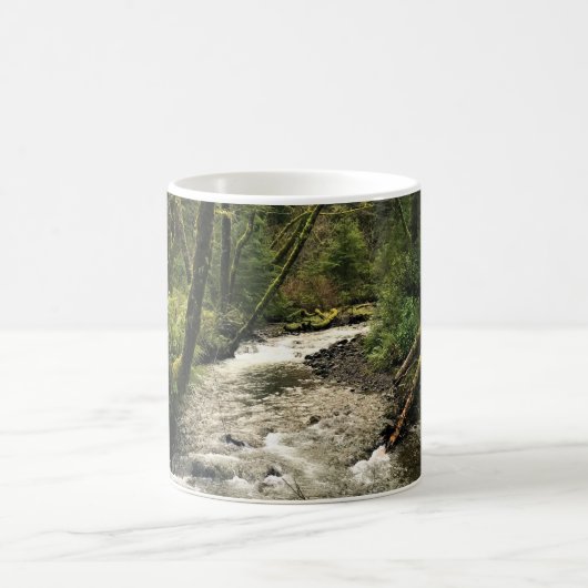 Mug Ruisseau Short Sand, Oswald West, Oregon (Centre)