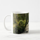 Mug Ruisseau Short Sand, Oswald West, Oregon (Gauche)