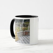 Mug Russie, Saint-Pétersbourg, Peterhoff (aussi connu  (Devant gauche)