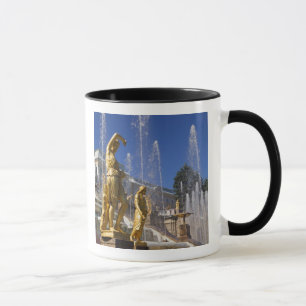 Mug Russie, Saint-Pétersbourg, Statues dorées dans le
