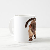 Mug S est pour la civette de palme à dents petites (Devant gauche)