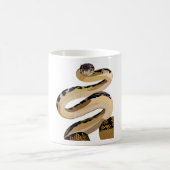 Mug S est pour Scrub Python (Centre)