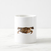 Mug S est pour Surinam Toad (Centre)