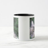 Mug SA, Pérou, S.H. Machu Picchu, Cascade et cloud (Centre)