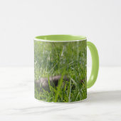 Mug Sable Weasel Photo Cute Ferret (Devant droit)