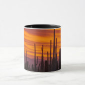 Mug Saguaro, coucher du soleil, Parc national du Sagua (Centre)