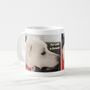 Mug Saint-Valentin Photo du profil de chien mignon Fur