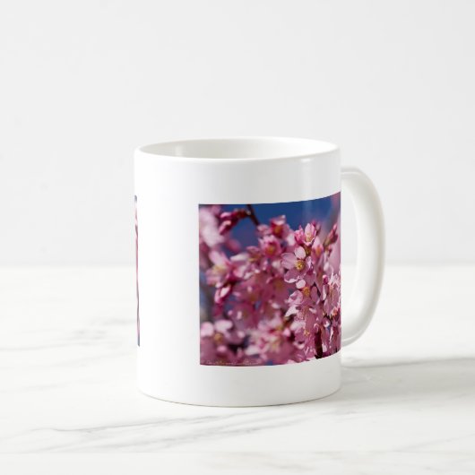 Mug Sakura Cherry Blossoms embrassés par Sunlight (Devant droit)