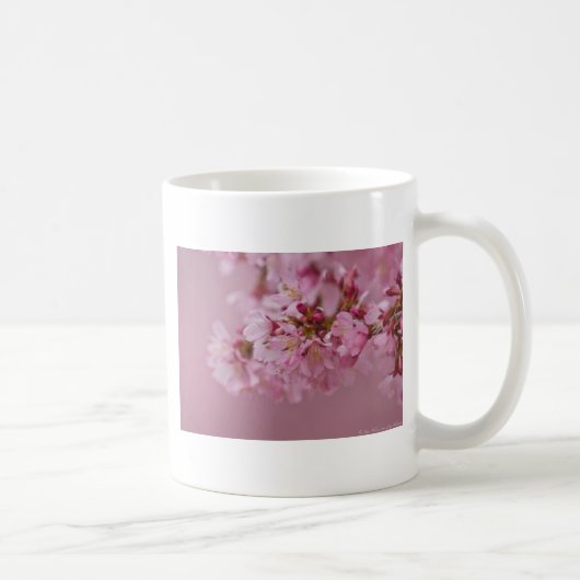 Mug Sakura Cherry Blossoms rose pâle Réflexions (Droite)