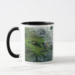 Mug Sakura, jardin Koishikawa Koraku-en, Tokyo,