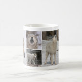 Mug Salade de café Wolf Lover (Centre)