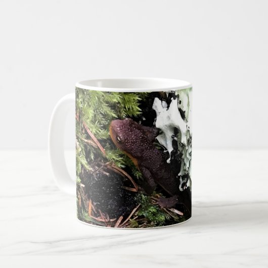Mug Salamander Caché Sous Le Journal, Washington (Devant gauche)